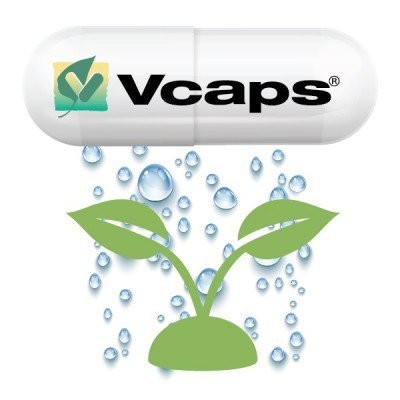 VCAPS Nº 4 VERDE TRANSL