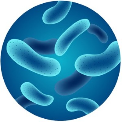 Prob. L. Rhamnosus (Lactobacillus) 100 Bi